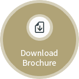 brochure icon - Fixed Dentures-All on 4